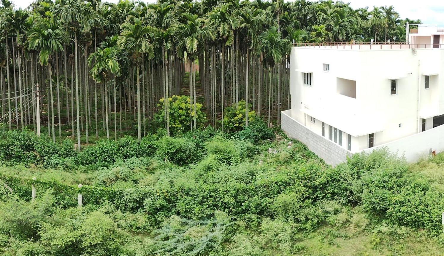 A Chettinad Villa In Coimbatore On The Way To Adiyogi And Nearer To Maruthamalai المظهر الخارجي الصورة